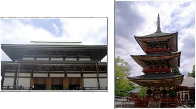 成田山新勝寺　写真